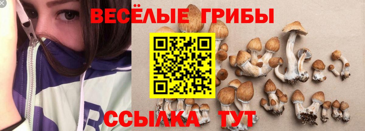 Галлюциногенные грибы MAGIC MUSHROOMS Санкт-Петербург